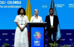 Gobernadora del Valle hace llamado a la cooperación internacional