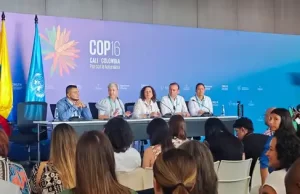 Aeropuertos del Valle del Cauca recibirán importante inyección