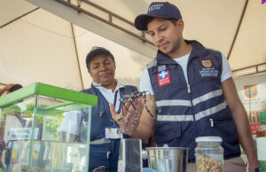 En Cali el control vectorial contra el dengue han asegurado la reducción de casos