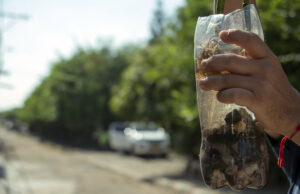 Cali se prepara por alerta nacional de fiebre amarilla