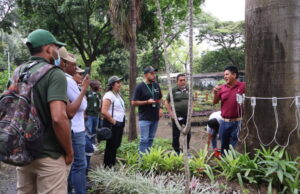 Cuadrilla Arbórea del Dagma es capacitada