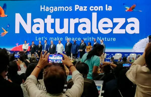 Cali cierra su año deportivo con el Torneo Internacional de Ajedrez y el Departamental de Fútbol Sala