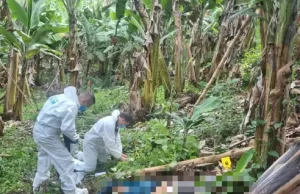 Gobierno del Valle anuncia duros golpes contra grupos armados en la región