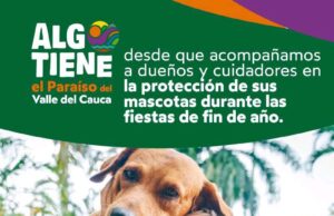 Algo Tiene El Paraiso Del Valle Del Cauca