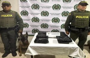 Policía incauta 6.5 kilos de marihuana en encomienda enviada desde Bogotá a Ibagué