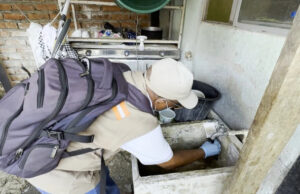 Valle del Cauca inicia plan piloto con pintura ‘repelente’ para combatir el dengue