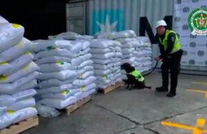 Gobierno resalta histórica incautación de 8,2 toneladas de cocaína en Buenaventura