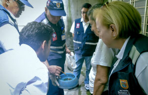 Cali inicia 2025 sin muertes por dengue y refuerza estrategias de prevención