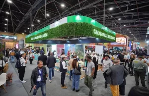 Valle del Cauca brilla en Anato 2025 como un destino turístico imperdible