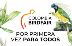 Colombia Birdfair 2025 llega a la Plaza de Cayzedo con programación gratuita