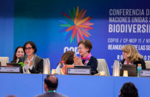 COP16: Cimientos Financieros y Vigilancia Global para la Vida en la Tierra