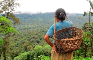 RT impulsa demandas para proteger derechos territoriales de pueblos indígenas