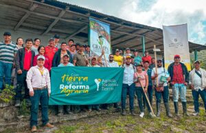 Con la entrega de un terreno de 400 hectáreas, excombatientes sembrarán banano, aguacate y café en Huila