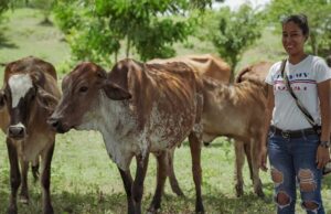 Impulso del Gobierno nacional con $1.600 millones para apoyar proyectos de excombatientes en Cauca y Meta