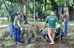 Alcaldía de Cali realiza jornada de acción ambiental en el barrio Santa Anita