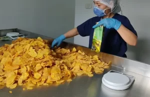Chips de plátano vallecaucano conquistan mercados internacionales