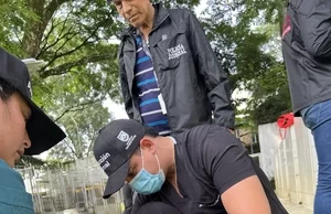 Justicia para los inocentes: Cali impone la sanción más severa por crueldad animal y rescata once vidas en presunto criadero ilegal