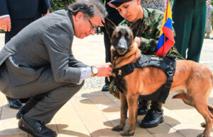 El presidente Petro sancionará las leyes Ángel y Lorenzo, reforzando la protección animal en Colombia