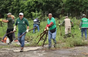 Cali recuperará más de 185.000 m² de zonas verdes en 2025: Unidad de Bienes y Servicios en acción