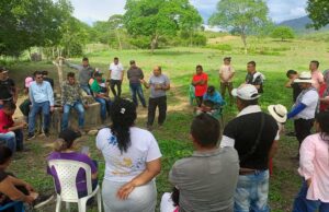 En la región de Los Llanos, Tolima, Huila y Sucre, el Estado concede la titularidad de más de 3.500 hectáreas de tierra a excombatientes