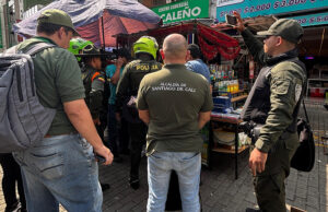 Autoridades ambientales decomisan piel y caparazón de animales salvajes en el corazón de Cali