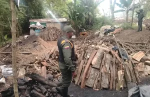 Capturados Por Dañar el Ambiente: Ocho Personas Detenidas en Navarro Por Tala y Producción Ilegal de Carbón