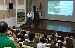 El Valle Se Pone Más Verde: La Estrategia de Bosques Urbanos Gana Terreno Para Combatir el Cambio Climático