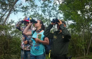 ¡Aleteo de Éxito en Buga! El Parque El Vínculo Registró 63 Especies de Aves en el Global Big Day