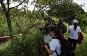 ¡Unidos Contra el Invierno! Cali Evalúa Soluciones para la Comuna 17
