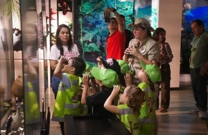 ¡Caleño, Protégete de la Lluvia! Vacúnate Gratis Contra la Influenza y Respira Tranquilo