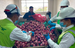 ¡Alerta en la Frontera! El ICA Frena Contrabando Agrícola en la Vía a Ecuador