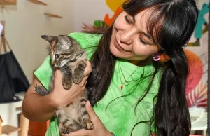 ¡Tu Nuevo Mejor Amigo te Espera! Adopta un ‘Peludito’ y Dale un Hogar Lleno de Amor