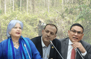 Senadores reaccionan a denuncias sobre muerte de menores en bombardeos