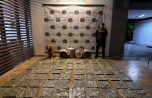 Operativos policiales impidieron la circulación de al menos 50.000 dosis de estupefacientes