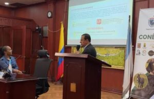 El Valle presenta manual de bienestar de équidos para regular eventos equinos en el departamento