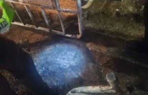 Explosión frente a estación de Policía Los Mangos en Cali deja tres heridos leves y activa alerta en el oriente de la ciudad