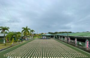 Incautan más de 3.000 paquetes de estupefacientes en el Pacífico caucano