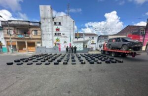 Golpe contundente al narcotráfico en zona rural de Sevilla