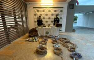 Policía Cali evitó ingreso de más de 4.500 artículos pirotécnicos para la Noche de Velitas