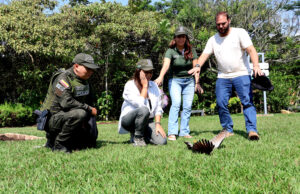 Liberación de fauna silvestre marca conmemoración del Día Internacional de las Aves en Cali