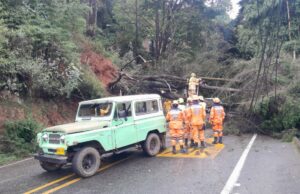 Emergencias en Cali por fuertes lluvias activan respuesta distrital