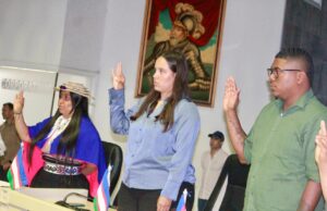 Se posesionó el nuevo Consejo Municipal de Juventud de Cali