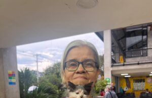 Investigan muerte de reconocida defensora de animales en el oriente de Cali