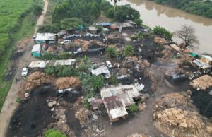 Desmantelan red dedicada a la producción ilegal de carbón vegetal en Palmira
