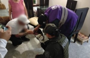 Autoridades investigan presunto maltrato animal en Cali