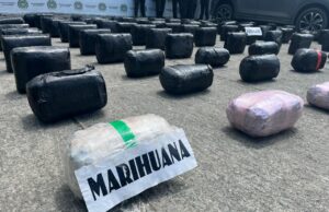 Incautan más de 700 kilos de marihuana en operativo en la vía Cali–Andalucía