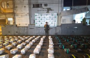 Incautan 459 kilos de marihuana en operativo policial en zona rural de Sevilla, Valle