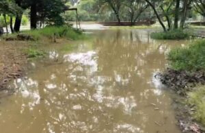 Alcaldía de Cali activa monitoreo y ayudas en zonas cercanas al río Cauca