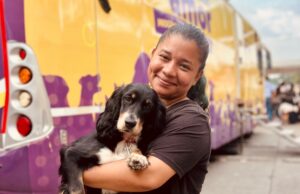 Cali retoma jornadas de esterilización extramural para fortalecer la protección animal