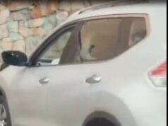 Violento hecho en el oeste de Cali: hombre pierde la vida en presunto hurto